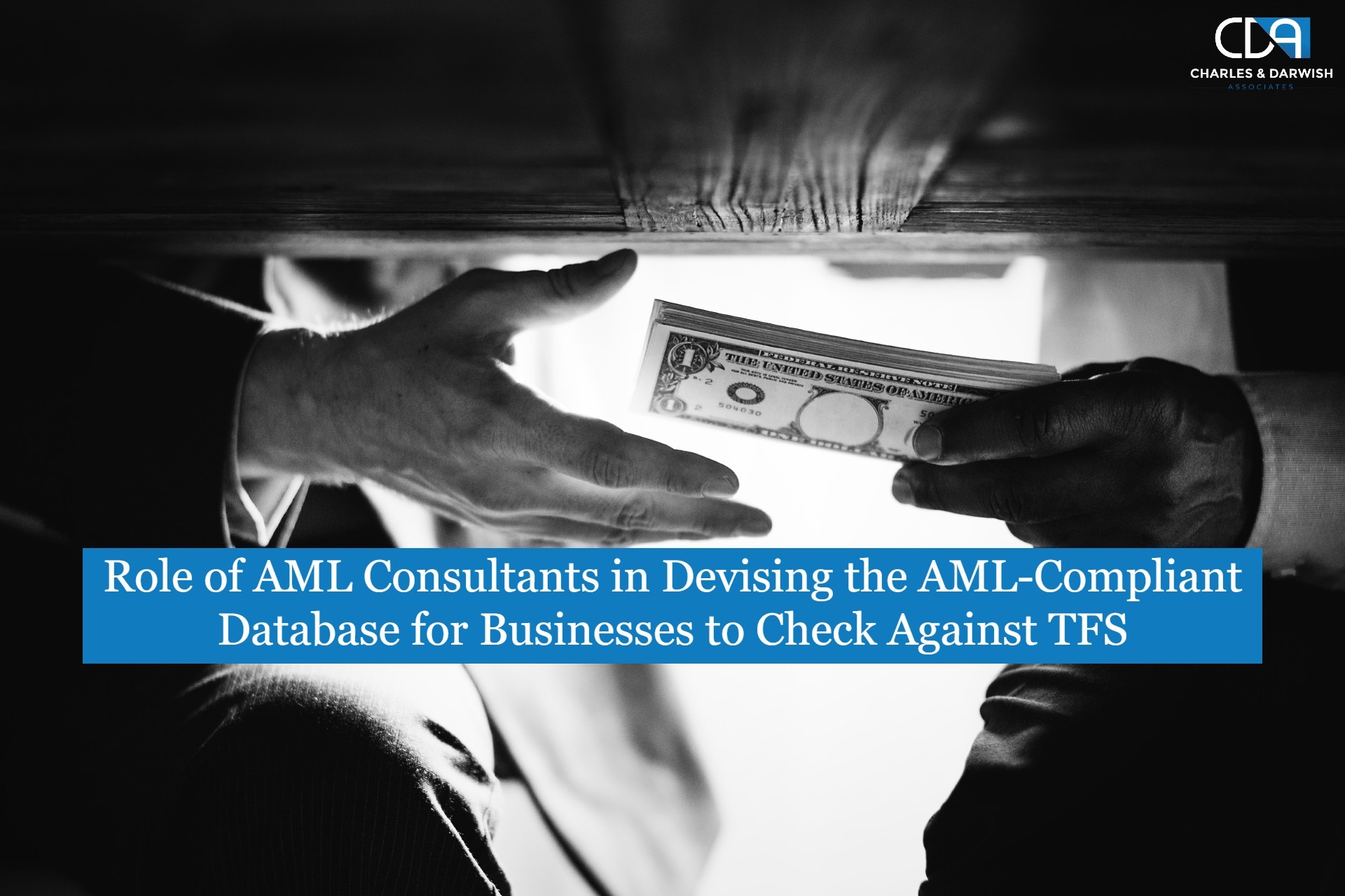 What is the Role of AML Consultants in Devising the AML-Compliant Database for businesses to Check Against TFS in UAE?
