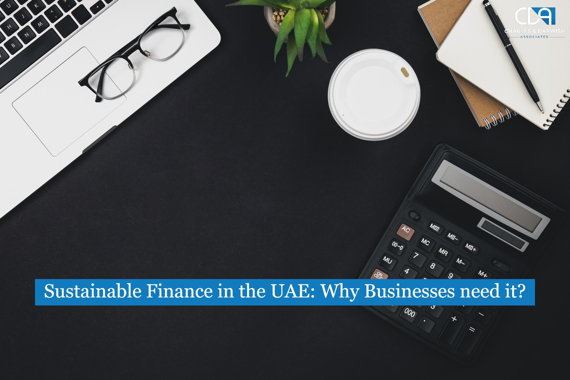 Sustainable Finance in the UAE: Why Businesses need it?